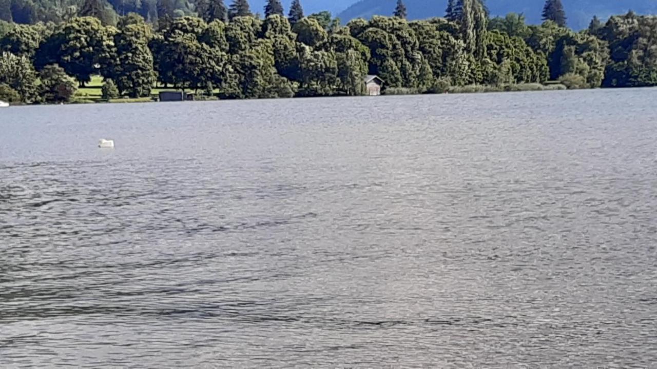 Wildente Am See Maishofen Exterior foto
